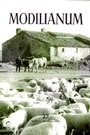 Modilianum 27